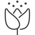 Pollen Pollen