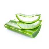 Aloe Vera Aloe Vera