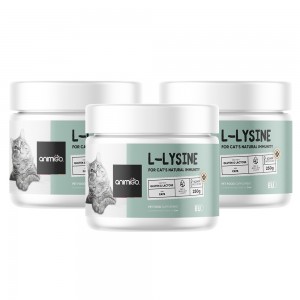 L-Lysin Pulver