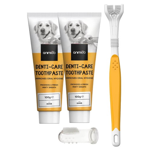 Tandborste & Tandkräm för hund, 2 x 100 g tandkräm + 2 x tandborstar - Ãtbar Tandkräm för Dagligt Bruk och tillbehör för Hundar - Animigo