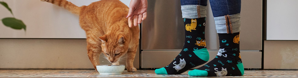 Hälsosam kost och kosttillskott är viktiga för att säkerställa att din katt får i sig massor av näringsämnen